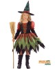 6156 Αποκριάτικη στολή WICKED WITCH