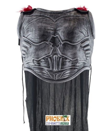 6907  Αποκριάτικη  πανοπλία πολεμιστή