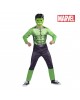 6839 Αποκριάτικη Στολή Hulk