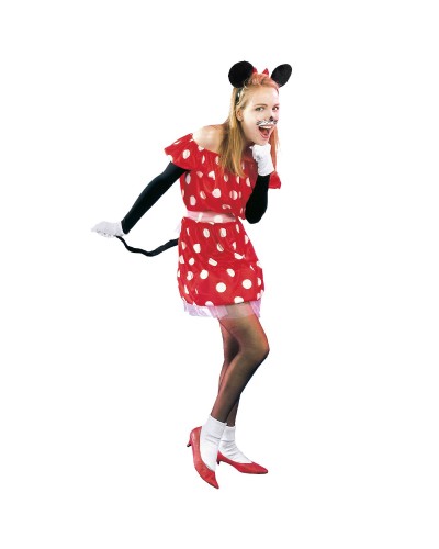 7886 Αποκριάτικη Στολή Ποντικίνα